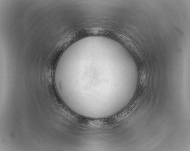 X0000115790470200912041516