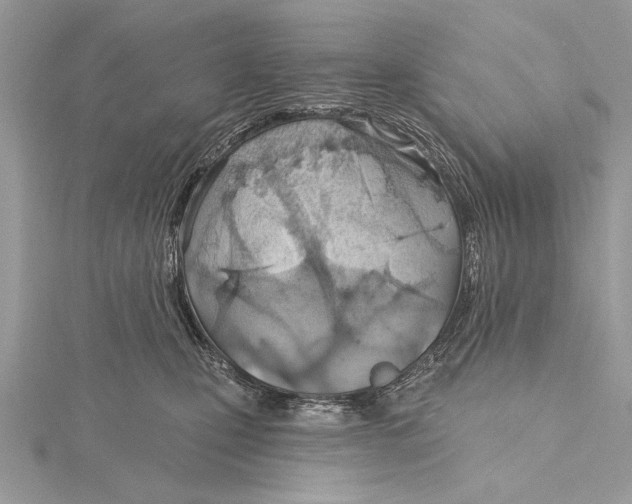 X0000115790471200912041516