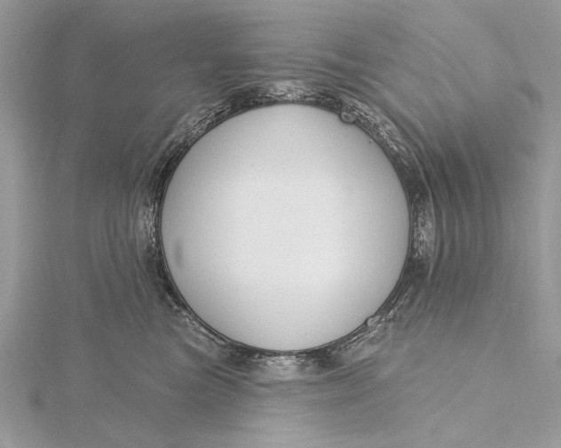 X0000115790473200912041516