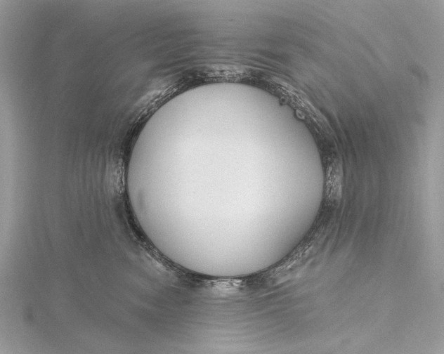 X0000115790474200912041516