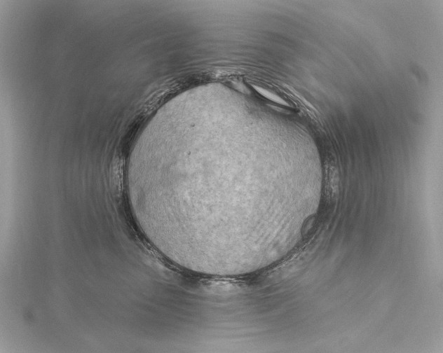 X0000115790475200912041516