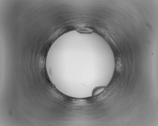 X0000115790476200912041516