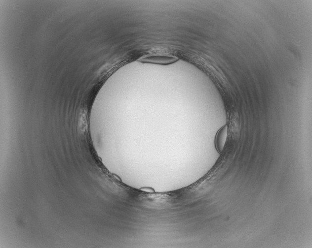 X0000115790478200912041516