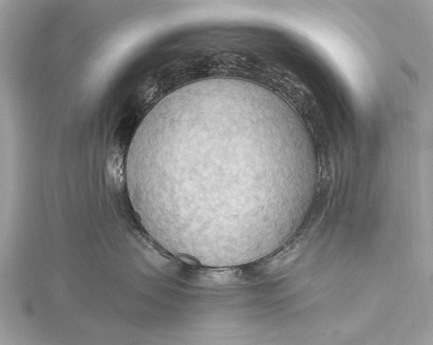 X0000115790479200912041516