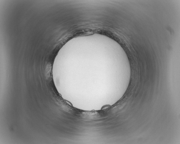 X0000115790480200912041516