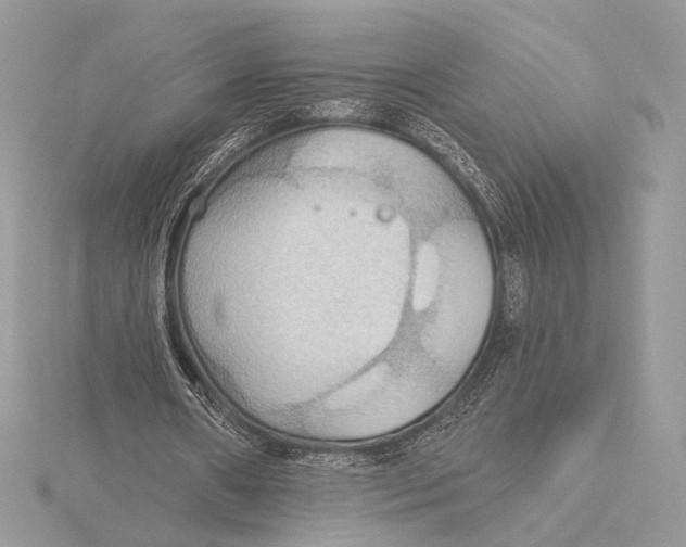 X0000115790482200912041516