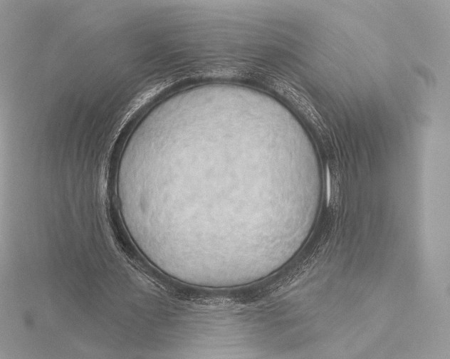 X0000115790483200912041516