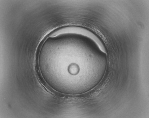 X0000115790484200912041516