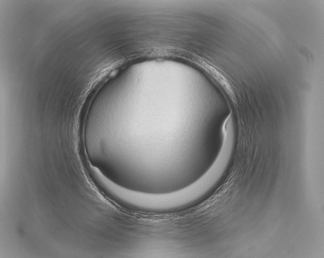 X0000115790485200912041516