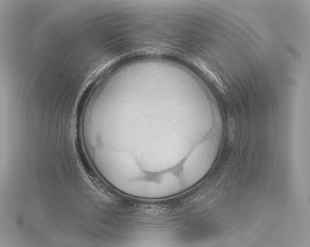 X0000115790486200912041516