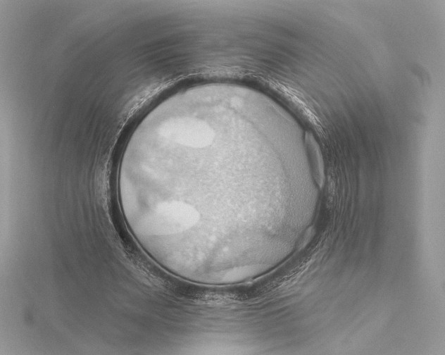 X0000115790487200912041515