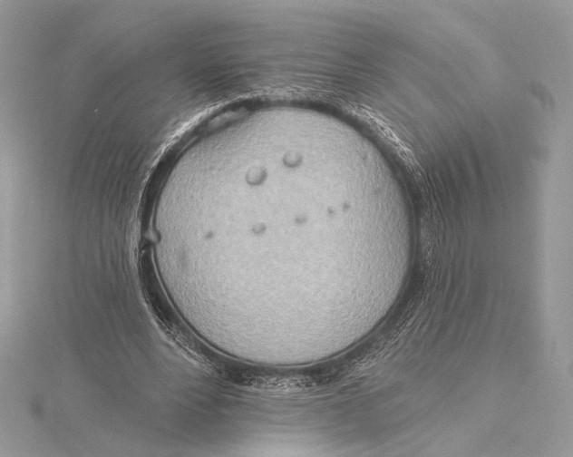 X0000115790488200912041515