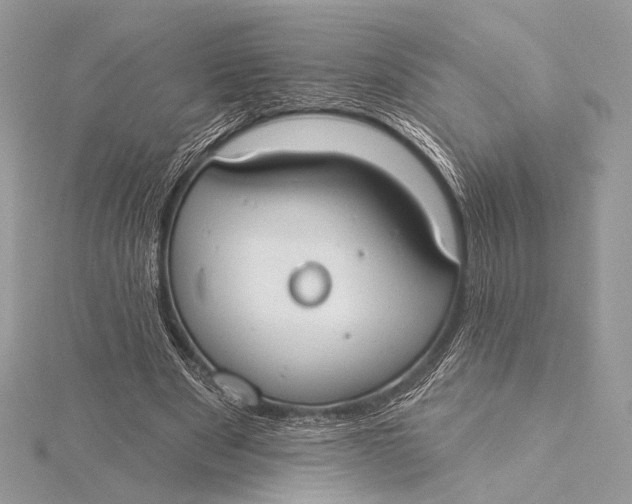 X0000115790489200912041515