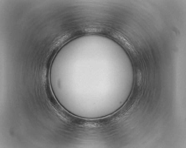 X0000115790490200912041515