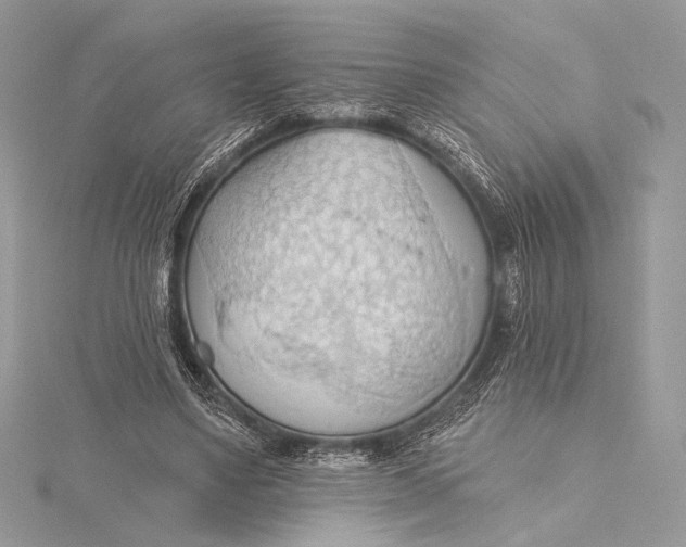 X0000115790491200912041515