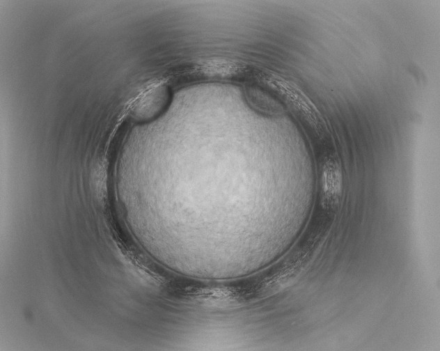 X0000115790492200912041515