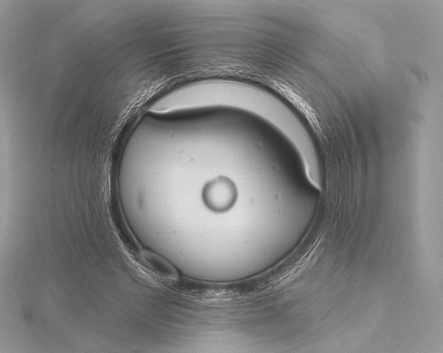 X0000115790493200912041515