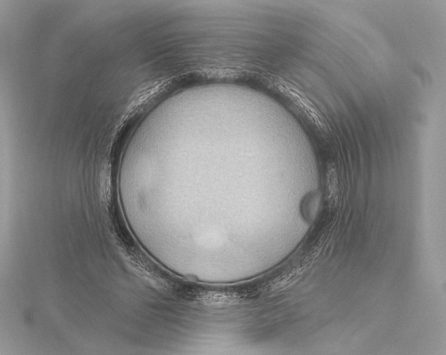 X0000115790494200912041515