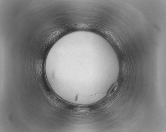 X0000115790495200912041515