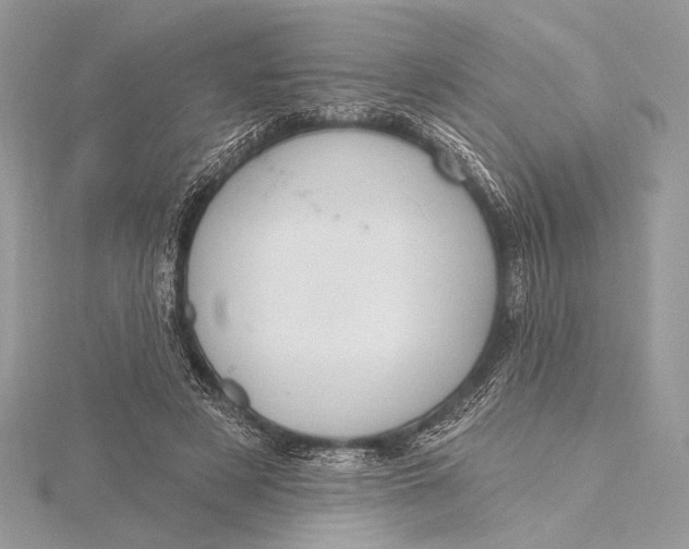 X0000115790497200912041515