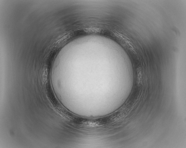 X0000115790498200912041515