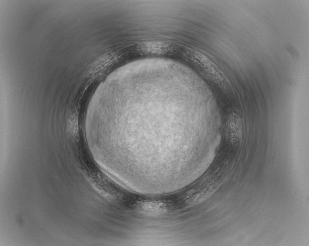 X0000115790500200912041515