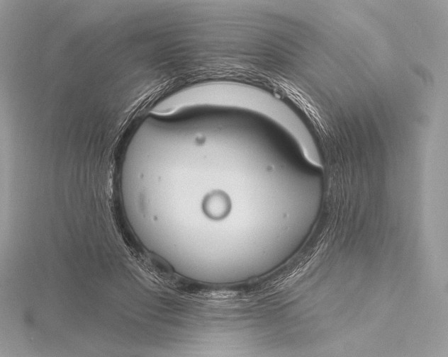 X0000115790501200912041515