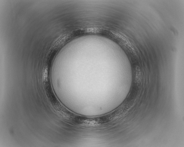 X0000115790502200912041515