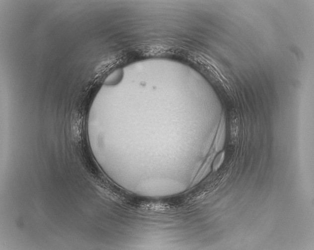 X0000115790503200912041515