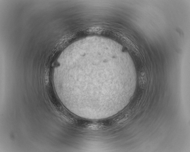 X0000115790504200912041515