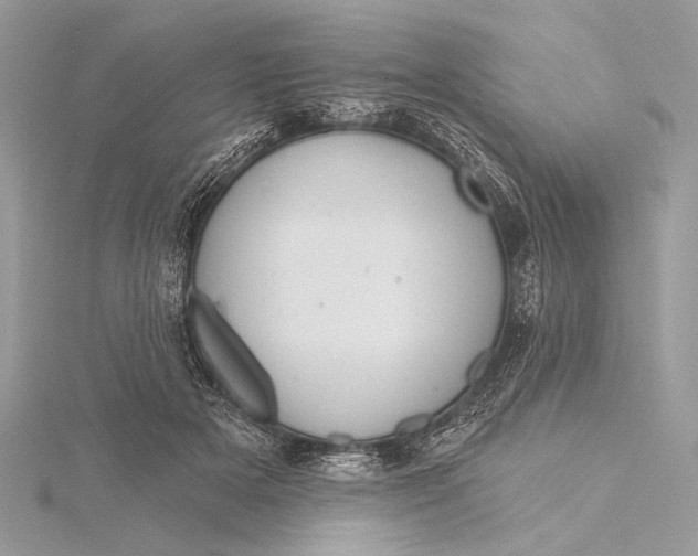 X0000115790505200912041515