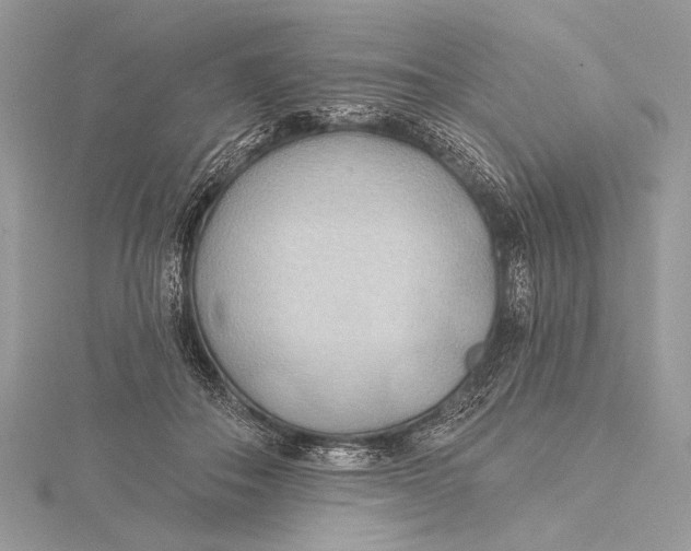 X0000115790506200912041515