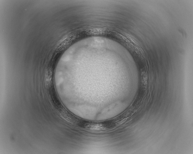 X0000115790507200912041515