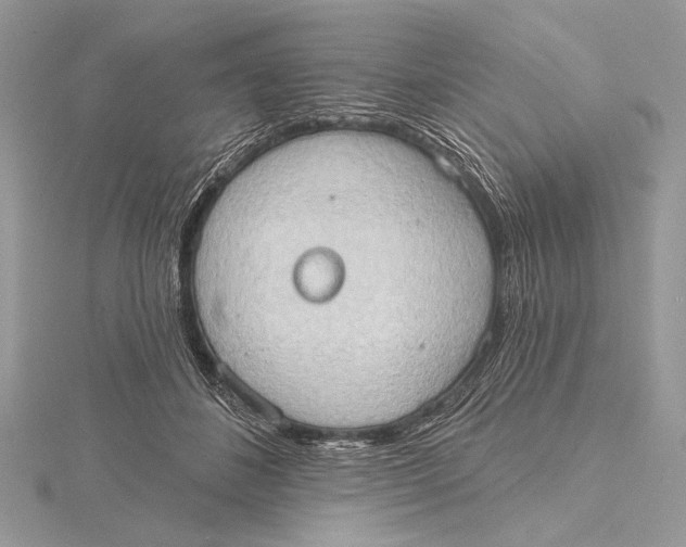 X0000115790508200912041515