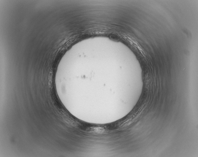 X0000115790509200912041515