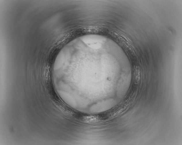 X0000115790511200912041515