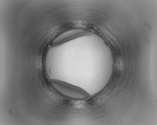 X0000115790512200912041515