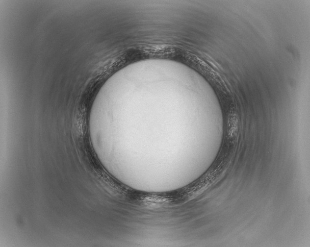 X0000115790515200912041515