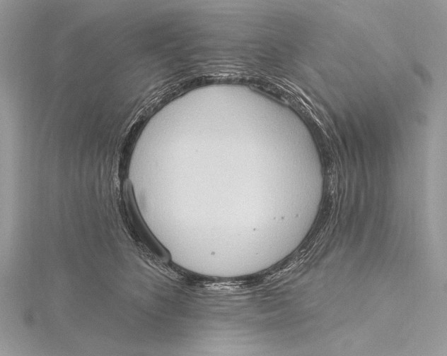 X0000115790516200912041515