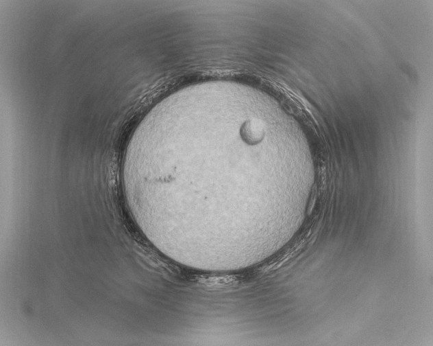 X0000115790517200912041515