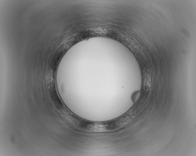 X0000115790518200912041515