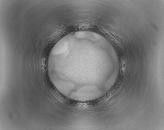 X0000115790519200912041515