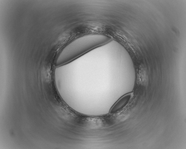 X0000115790520200912041515