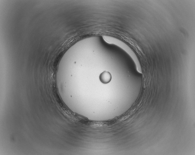 X0000115790521200912041515