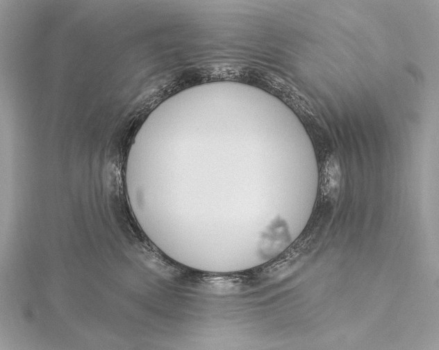 X0000115790522200912041515