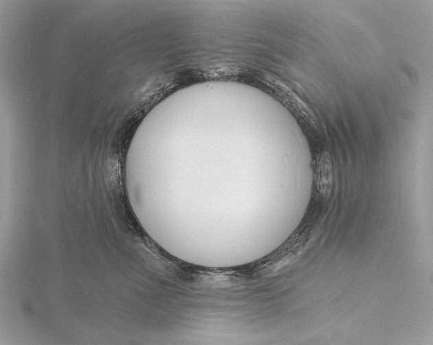 X0000115790523200912041515