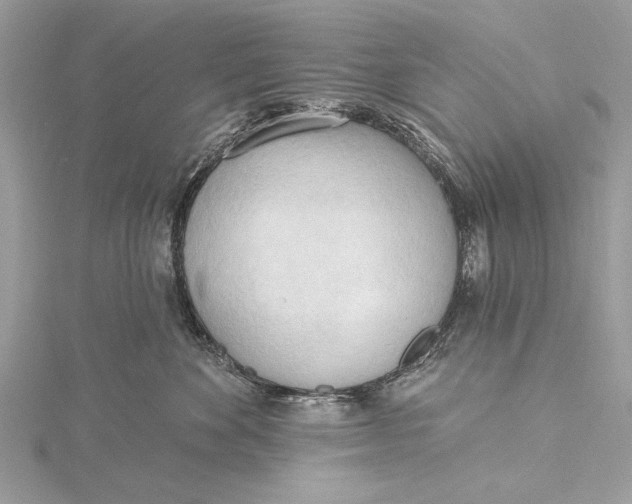 X0000115790524200912041515