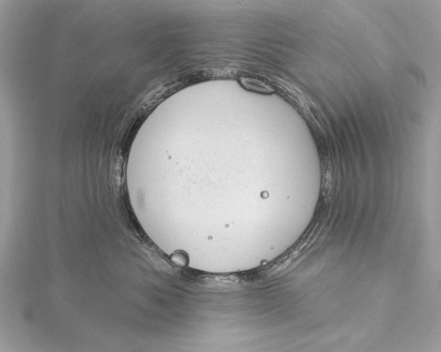 X0000115790525200912041515