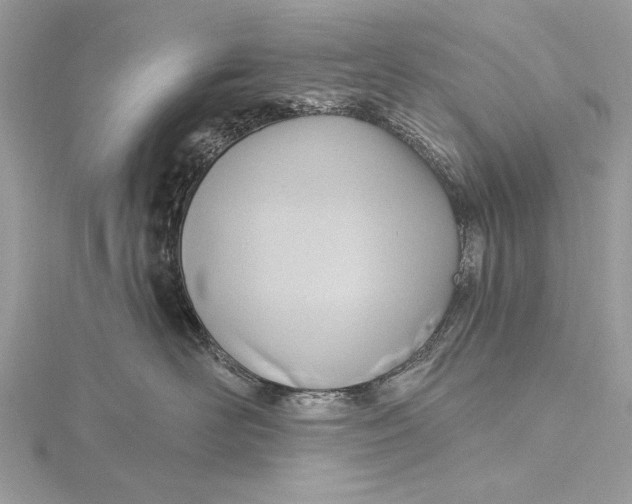 X0000115790526200912041515