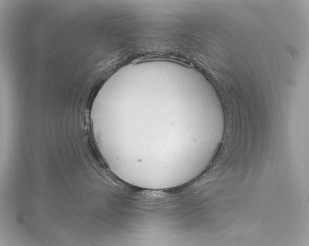 X0000115790528200912041515